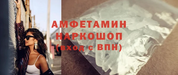 СК Ельня