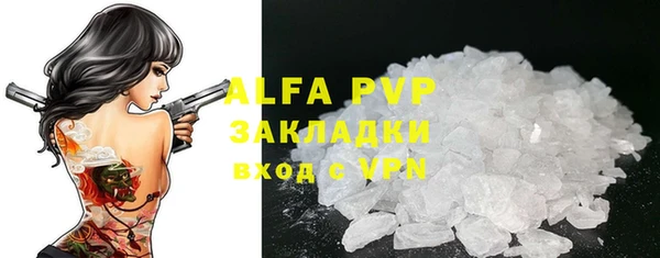 СК Ельня