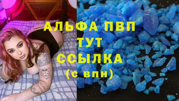 СК Ельня