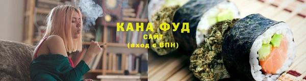 СК Ельня