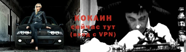 спиды Елизово
