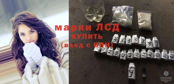 СК Ельня
