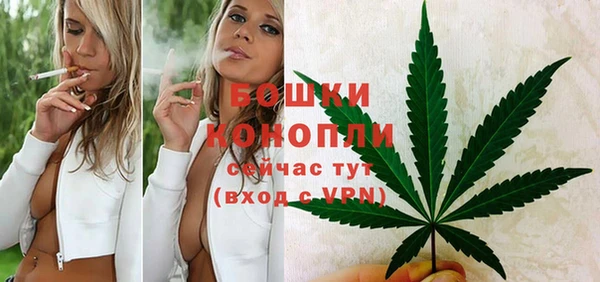 ешки Елабуга