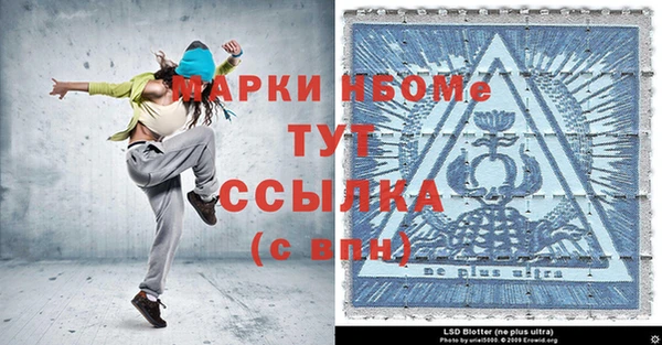 СК Ельня