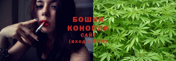 шишки Дмитровск