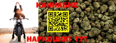 прущие грибы Краснодар