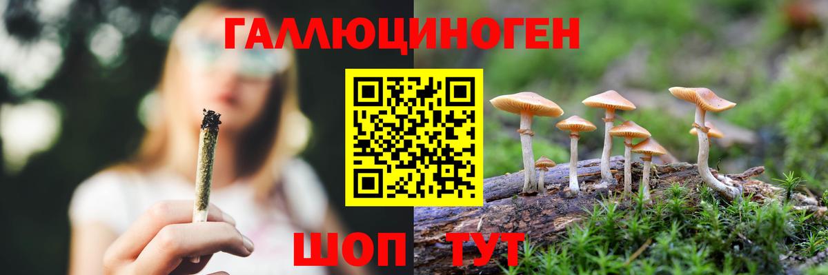Дятьково  Псилоцибиновые грибы Psilocybine cubensis  Вход с VPN  Галлюциногенные грибы Psilocybine cubensis 